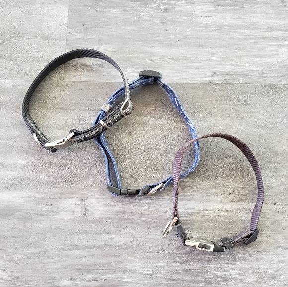 Petmate Other - Black Blue PetMate Dog Collar 3 Bundle